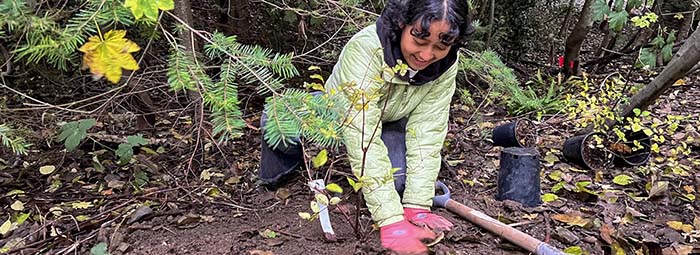 A young person with gloves, crouching down to the forest floor to plant a sapling tree.